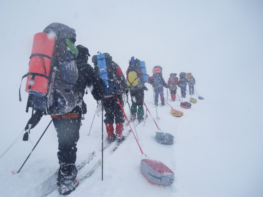 Сани-волокуши Век Саяны 36 л